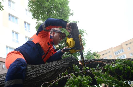 Cleanup operations after hurricane hits Moscow