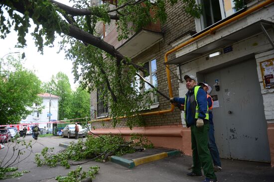 Cleanup operations after hurricane hits Moscow