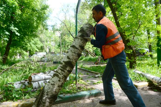 Cleanup operations after hurricane hits Moscow