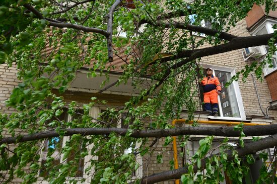 Cleanup operations after hurricane hits Moscow