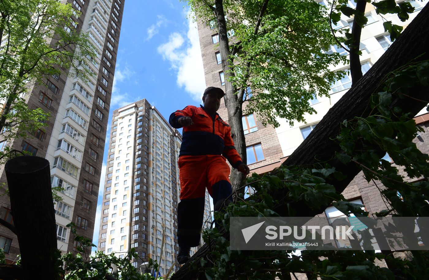 Cleanup operations after hurricane hits Moscow
