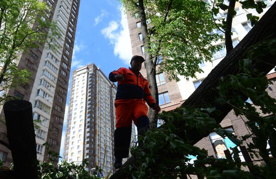 Cleanup operations after hurricane hits Moscow