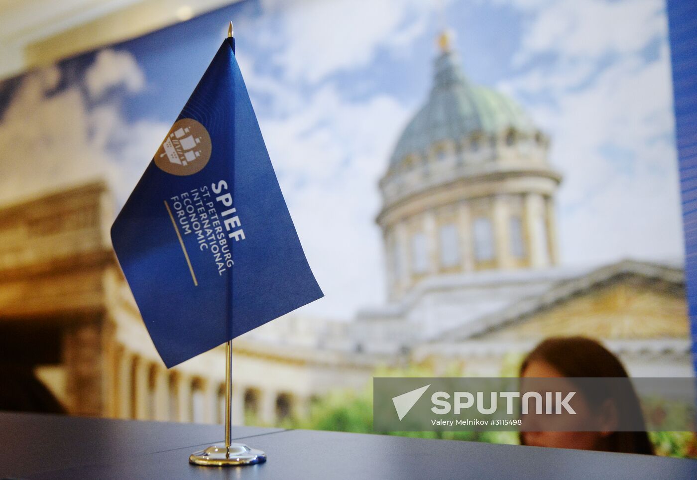 Preparations for St. Petersburg International Economic Forum opening