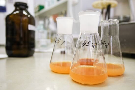Peterburg Expertiza testing facility