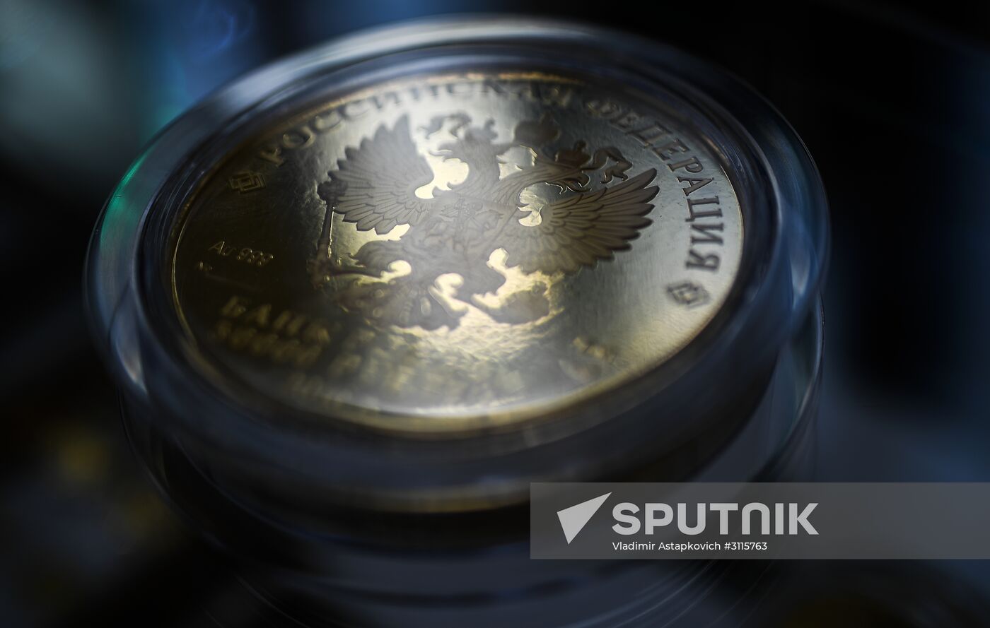 Preparations for St. Petersburg International Economic Forum
