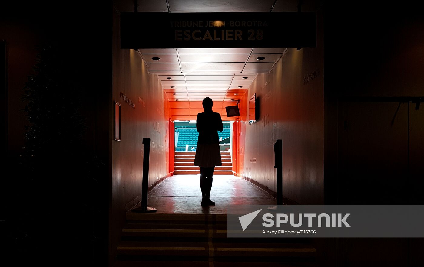 Tennis. French Open. Day four