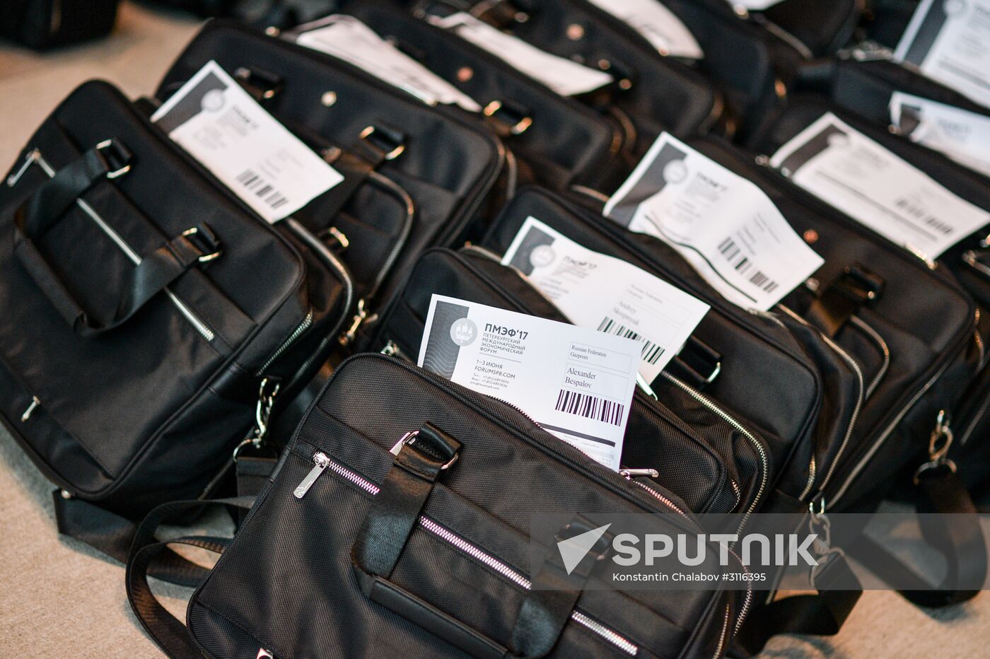 SPIEF 2017 business program