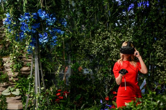 SPIEF-2017 business program