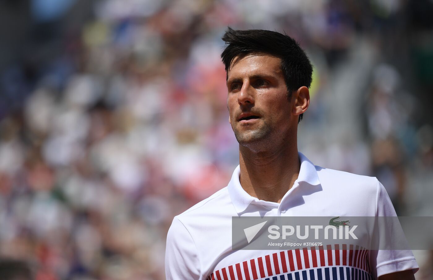 Tennis. French Open. Day four