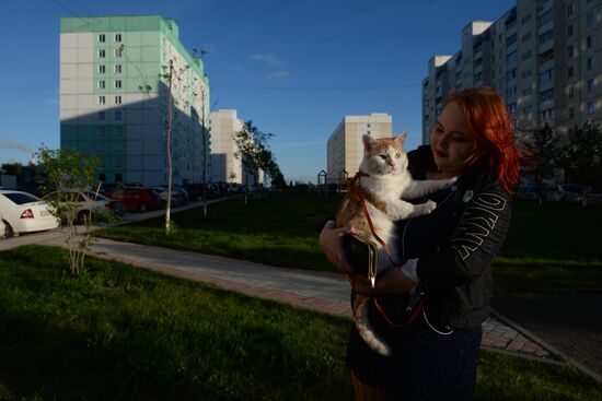 Plushikhinsky residential area in Novosibirsk