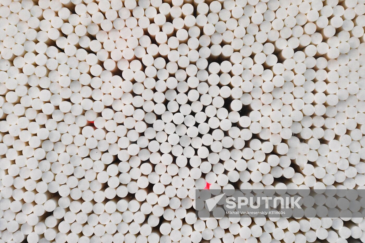 Tobacco factory in Latakia