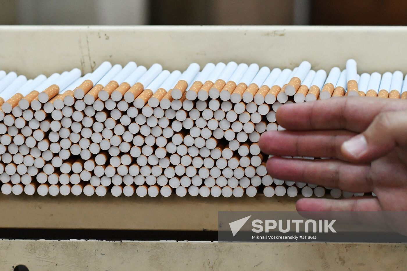 Tobacco factory in Latakia