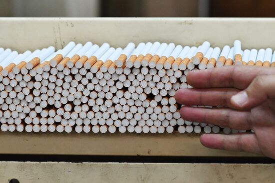 Tobacco factory in Latakia