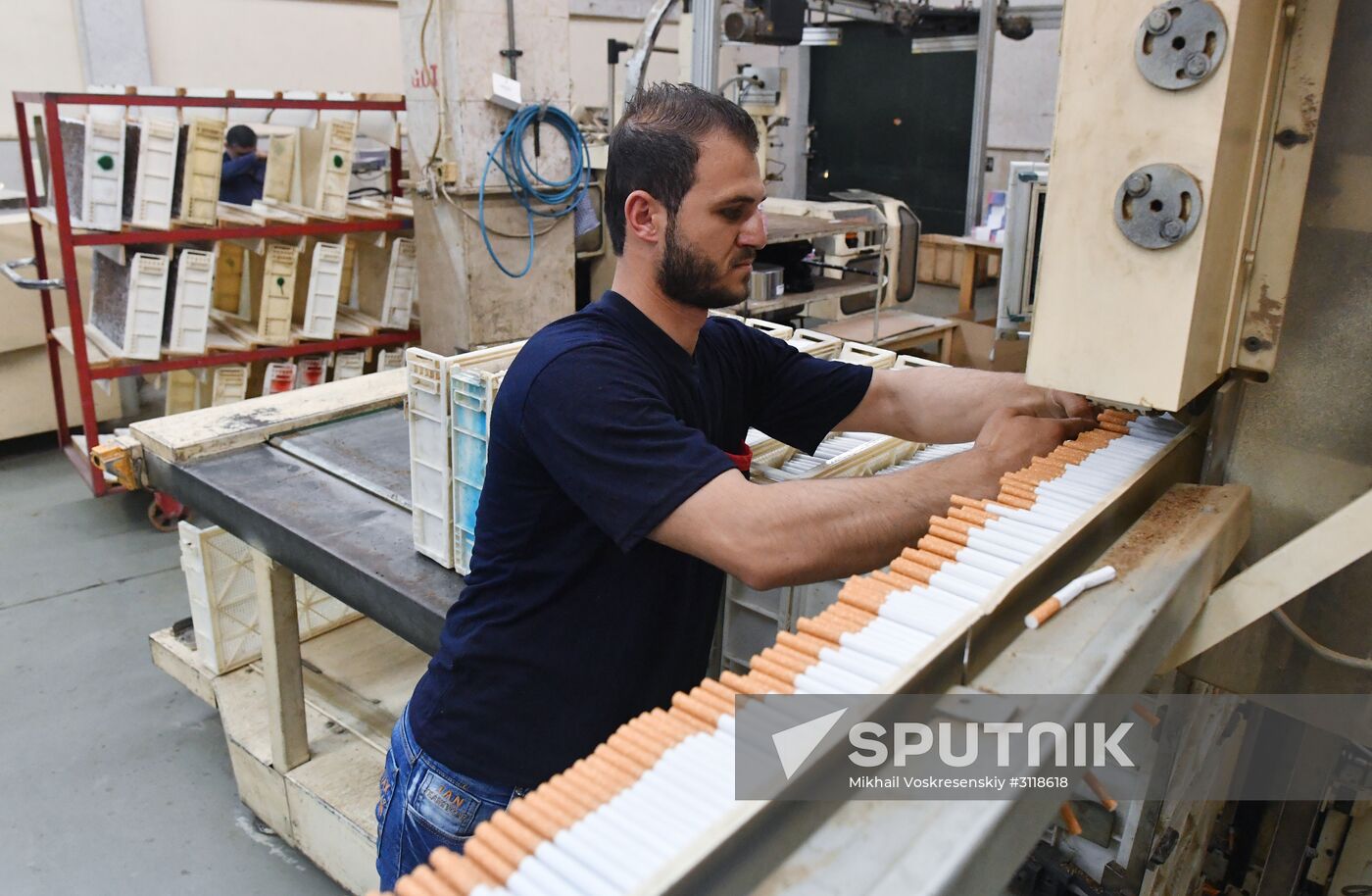 Tobacco factory in Latakia