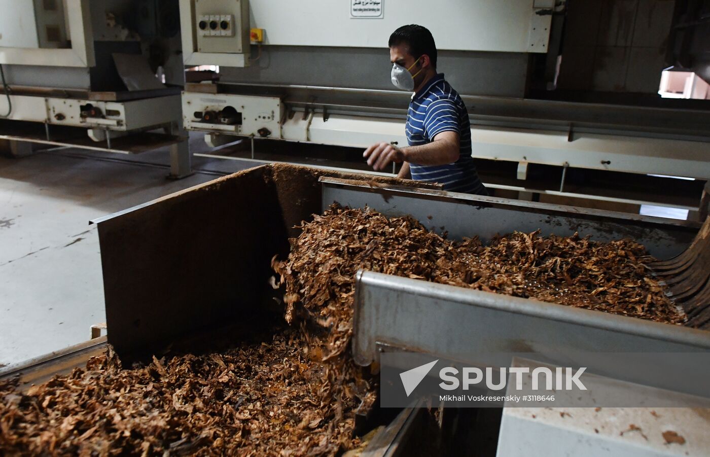 Tobacco factory in Latakia