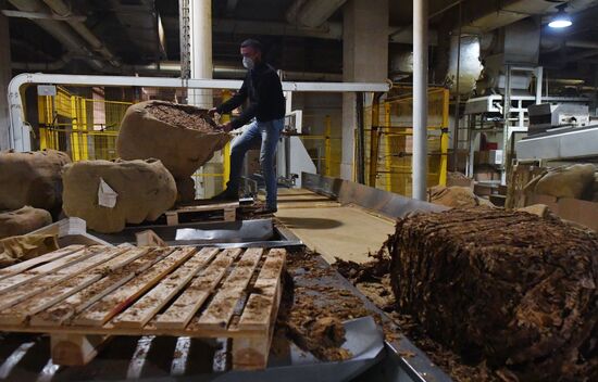 Tobacco factory in Latakia