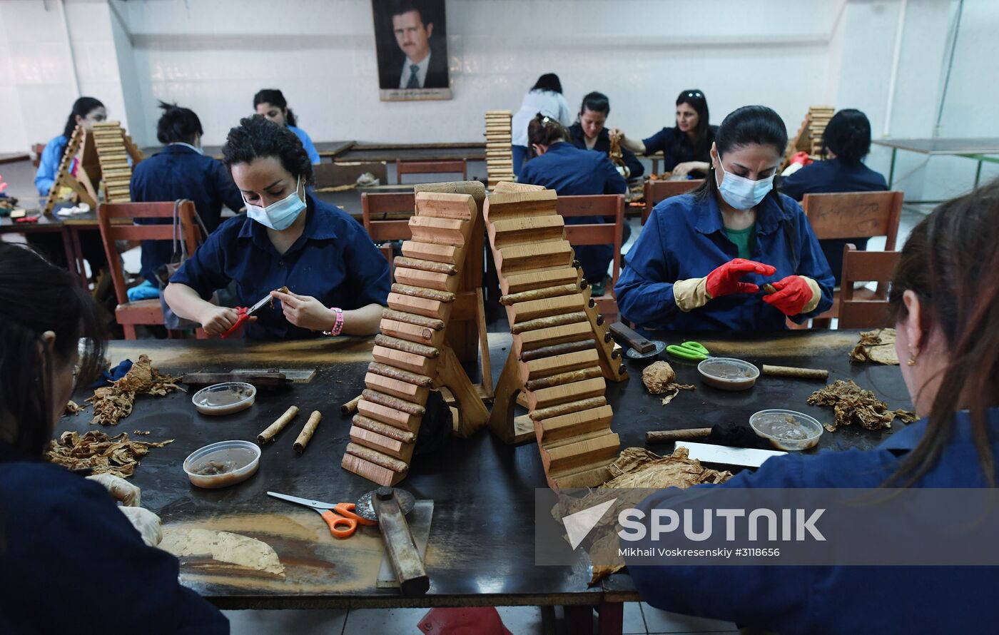 Tobacco factory in Latakia