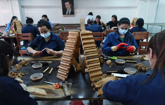 Tobacco factory in Latakia