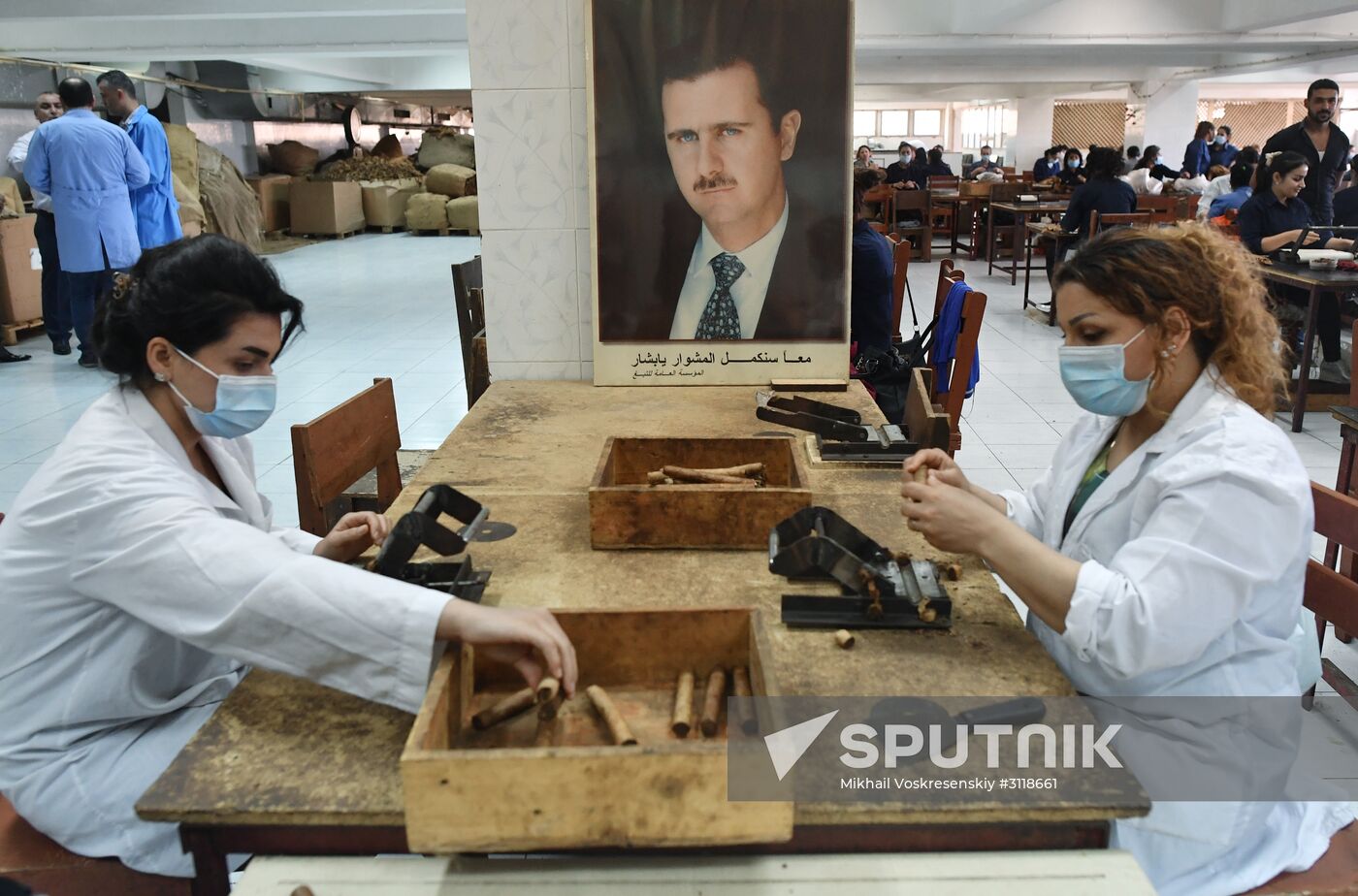 Tobacco factory in Latakia