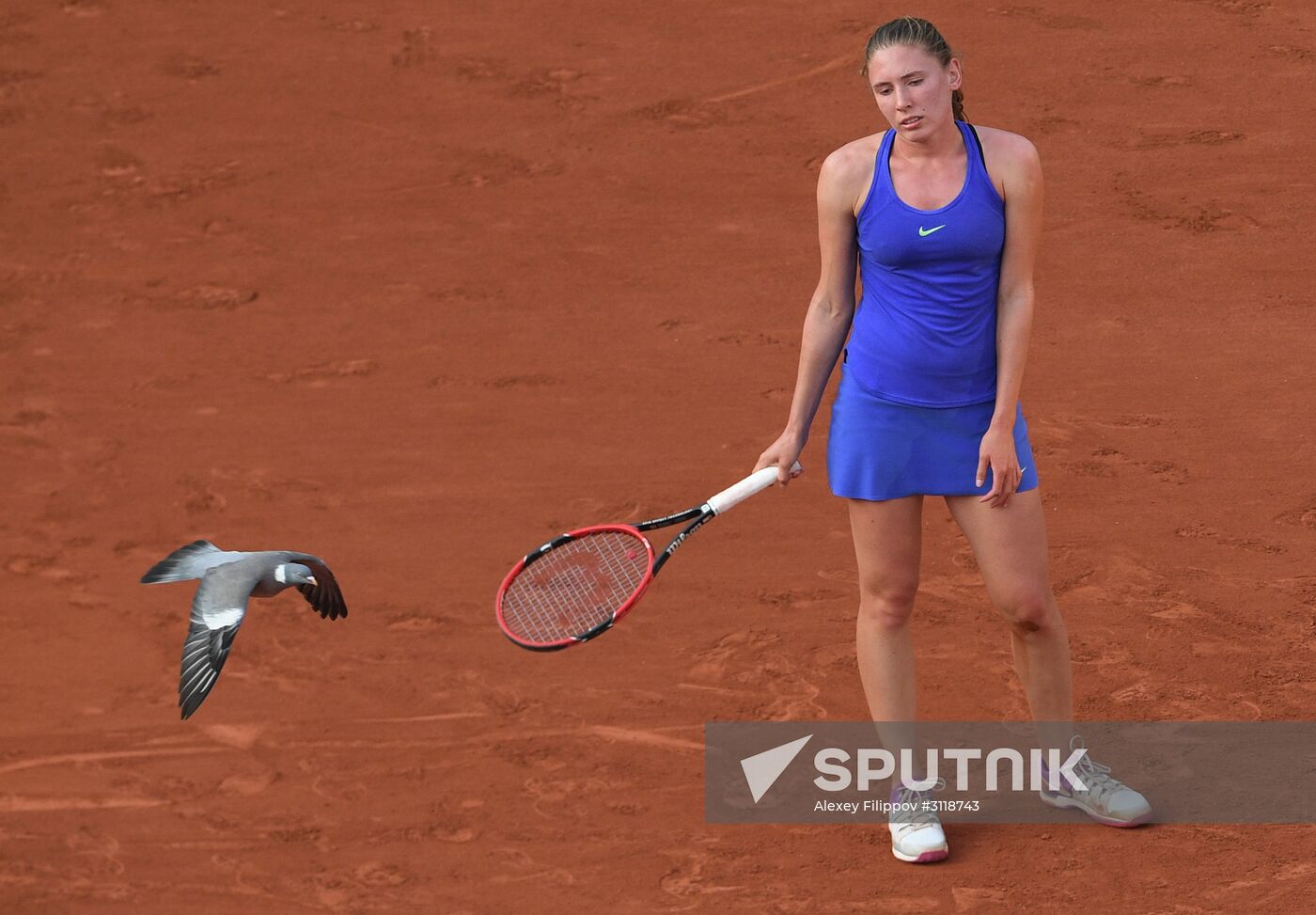 Tennis. Rolland Garros. Day Five