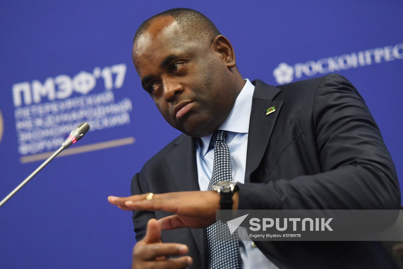 St. Petersburg International Economic Forum. Day two