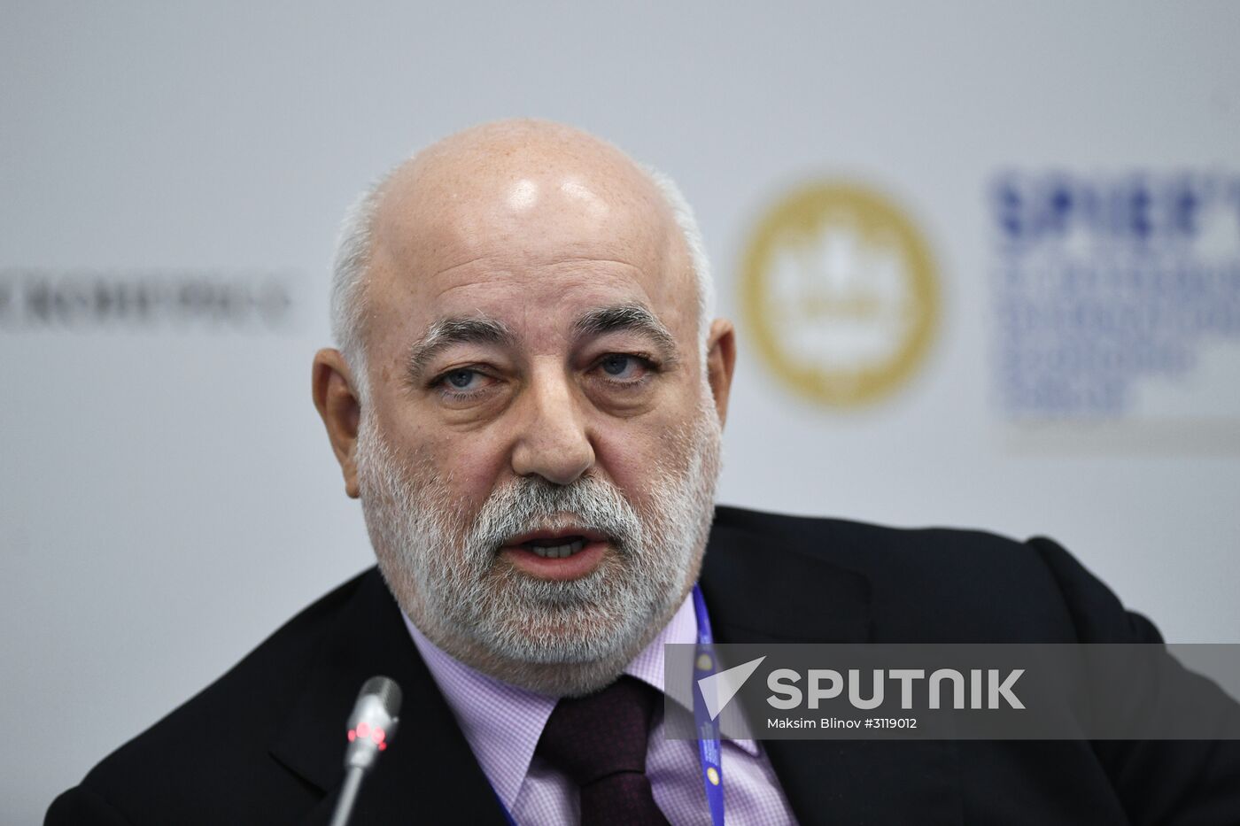 St. Petersburg International Economic Forum. Day Two