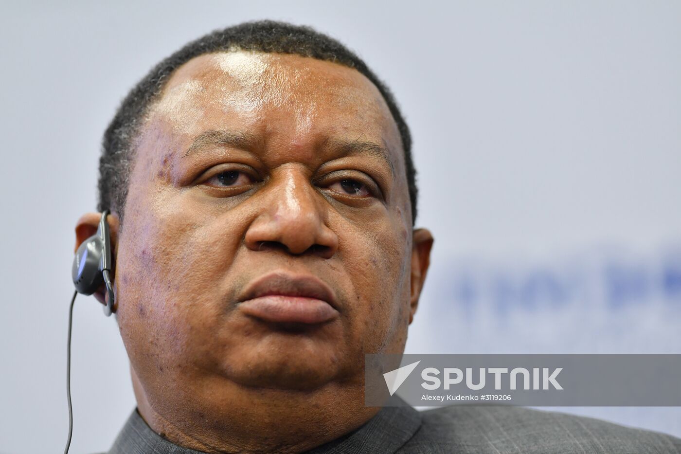 St. Petersburg International Economic Forum. Day two