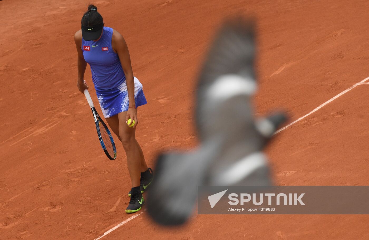 Tennis. Roland Garros. Day Six