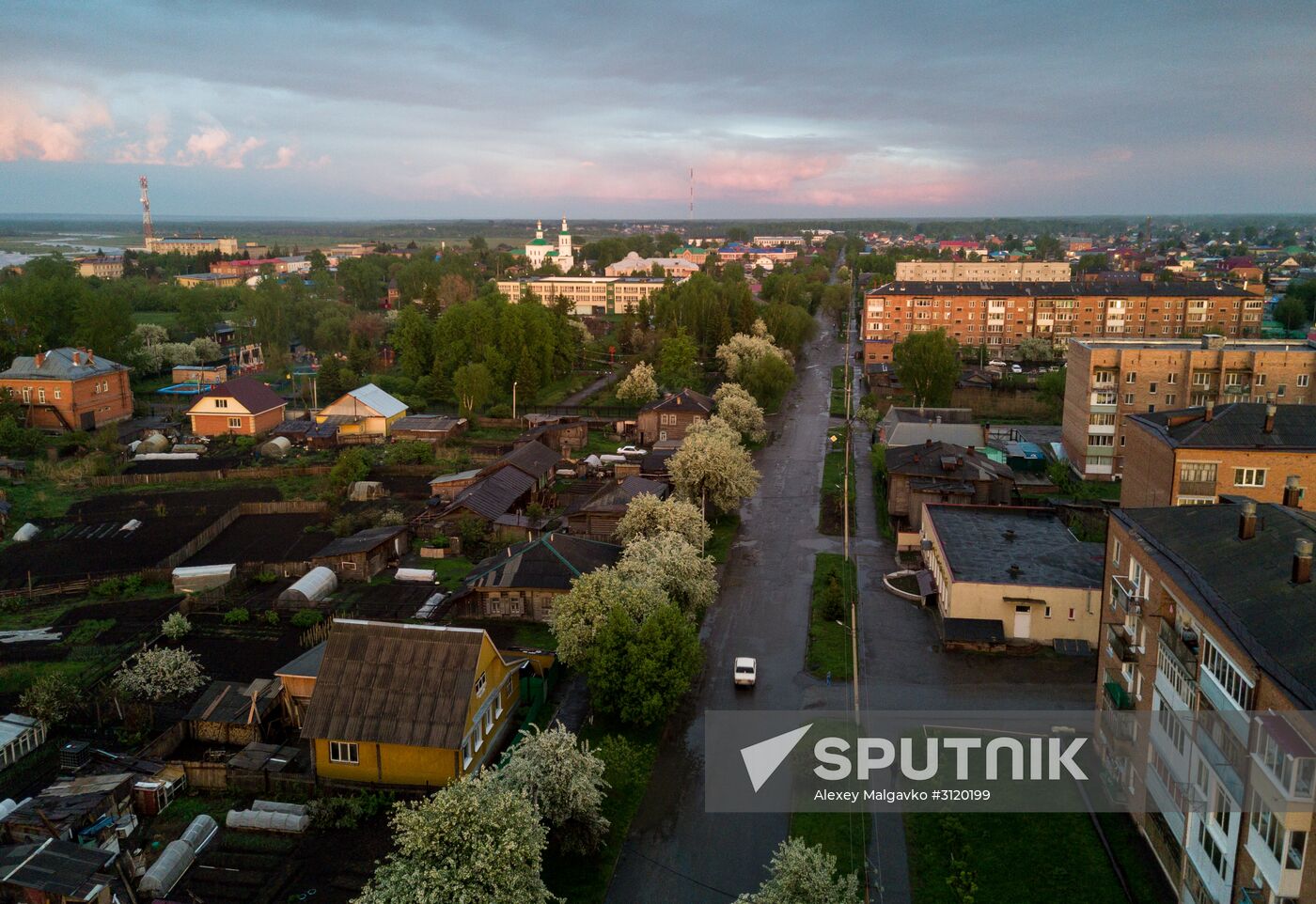 Apple orchard in Omsk Region