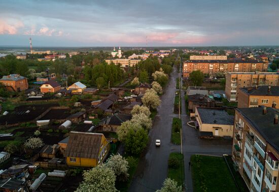Apple orchard in Omsk Region