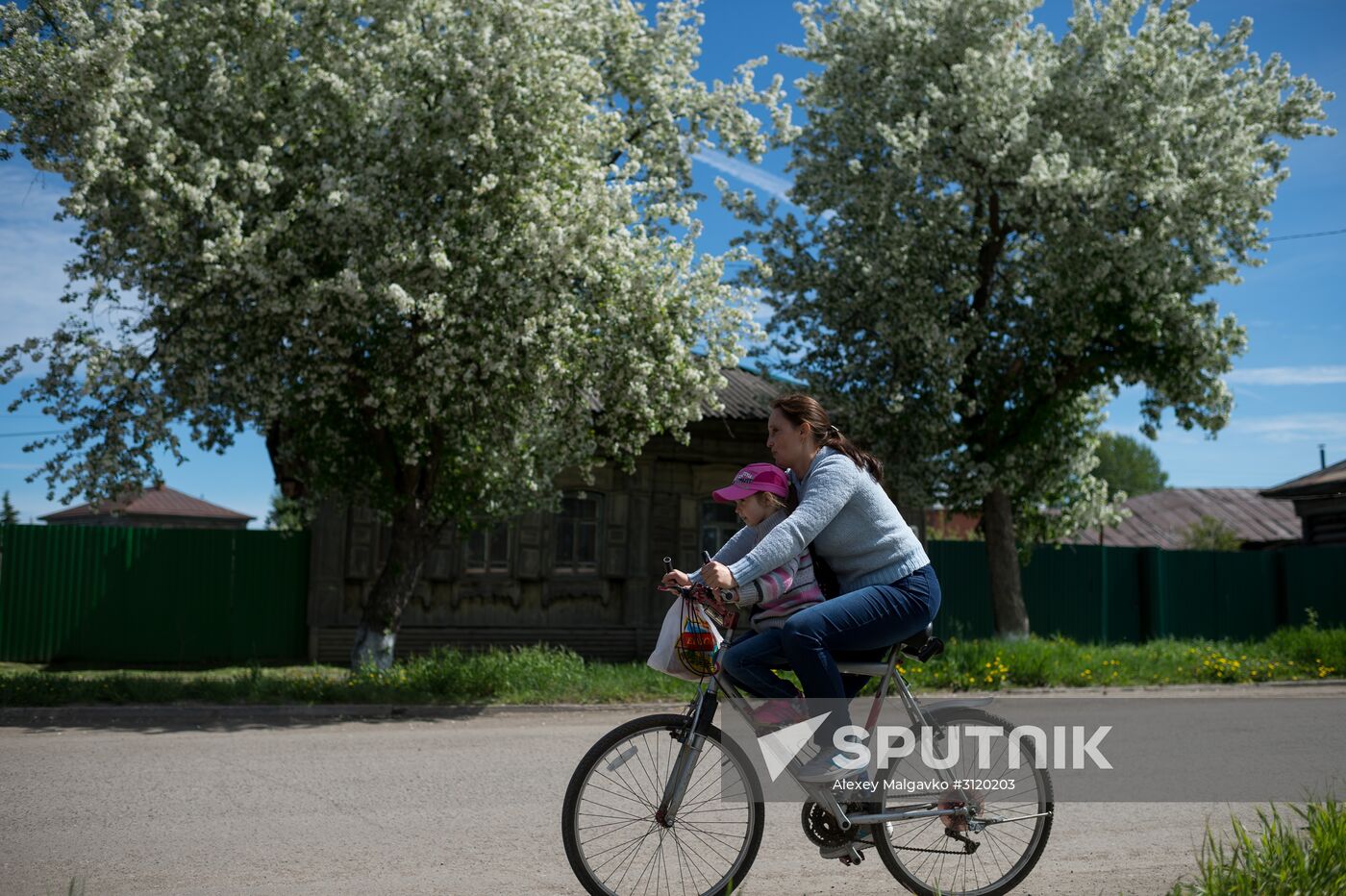Apple orchard in Omsk Region