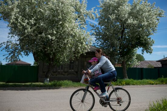 Apple orchard in Omsk Region