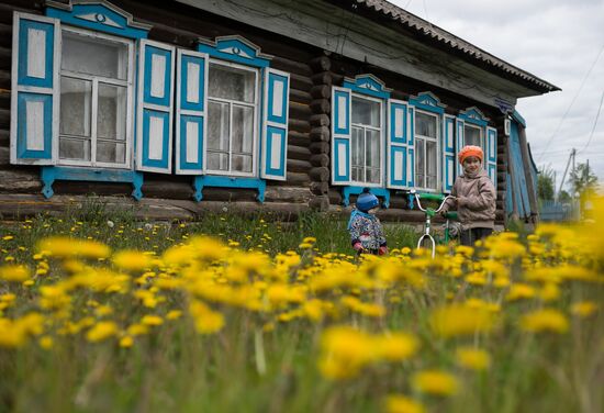 Apple orchard in Omsk Region