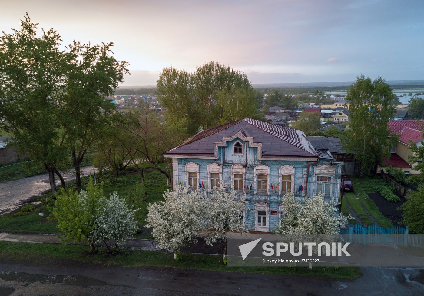 Apple orchard in Omsk Region