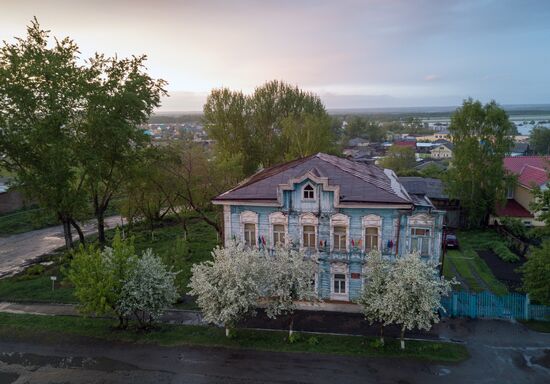 Apple orchard in Omsk Region