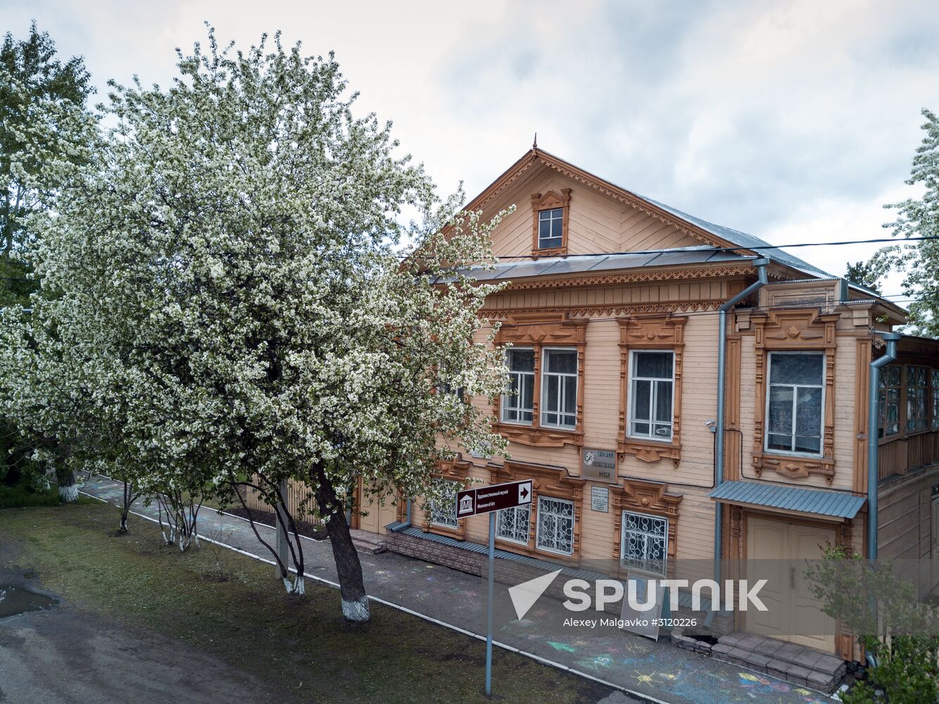 Apple orchard in the Omsk Region