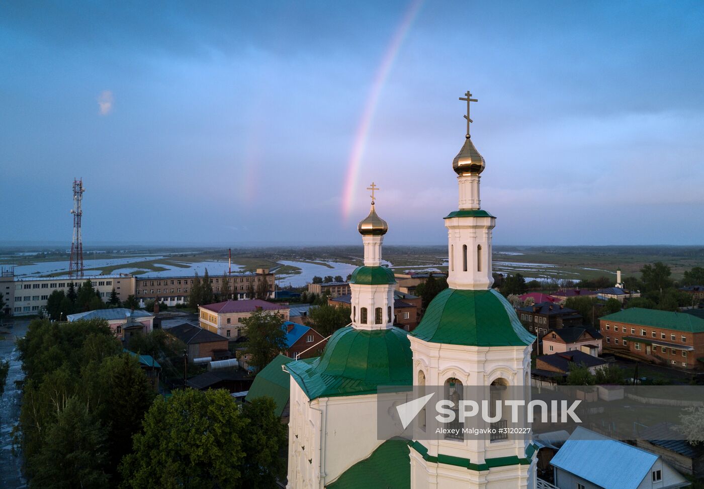 Apple orchard in the Omsk Region