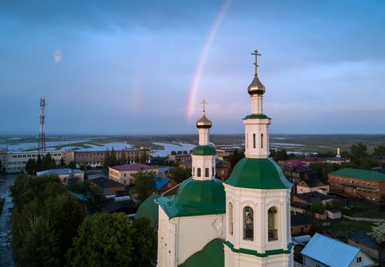 Apple orchard in the Omsk Region