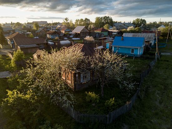 Apple orchard in the Omsk Region