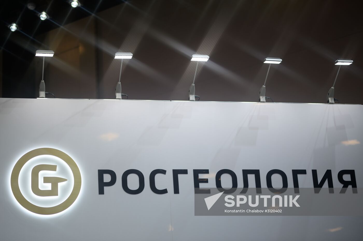 2017 St. Petersburg International Economic Forum. Day Three