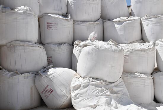 Ceramic ware production plant in Hama