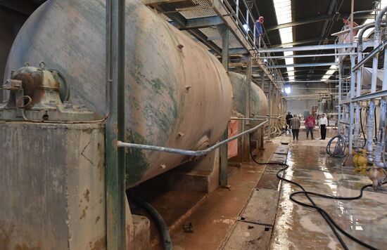 Ceramic ware production plant in Hama