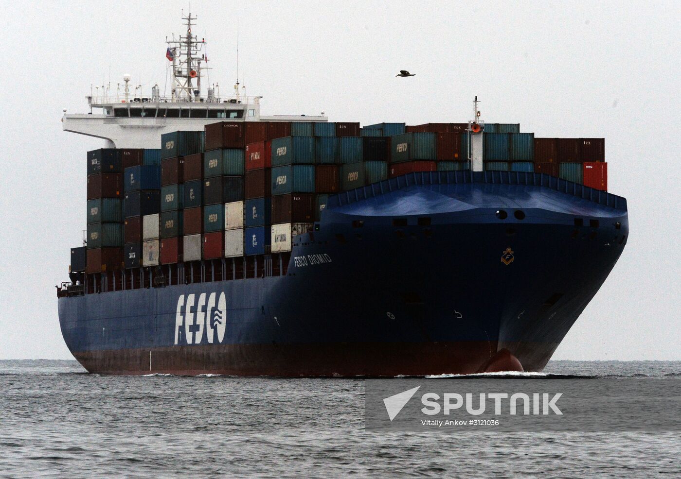 Fesco Diomid container ship arrives in port of Vladivostok