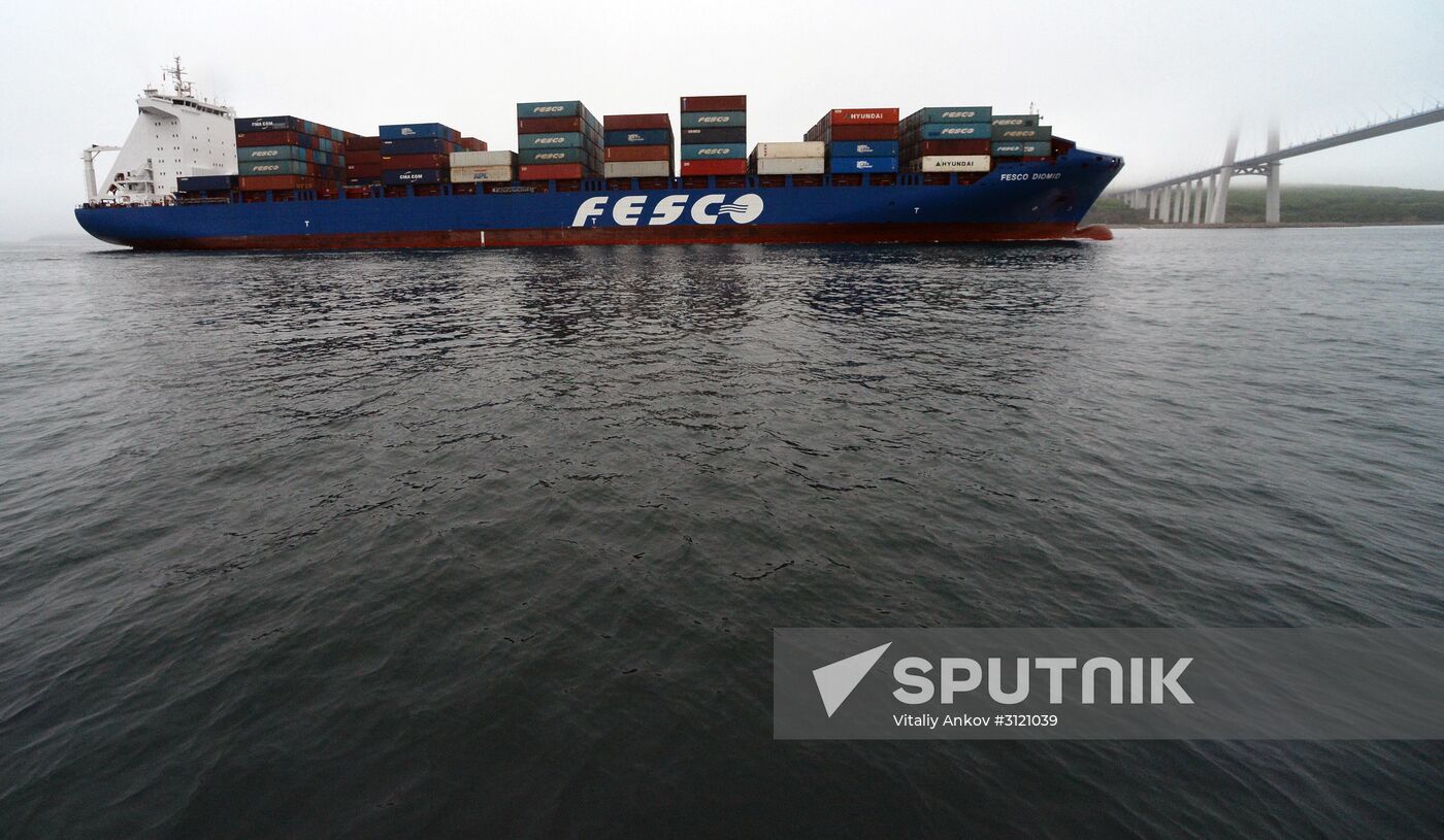 Fesco Diomid container ship arrives in port of Vladivostok