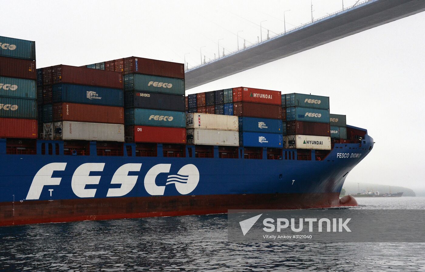 Fesco Diomid container ship arrives in port of Vladivostok