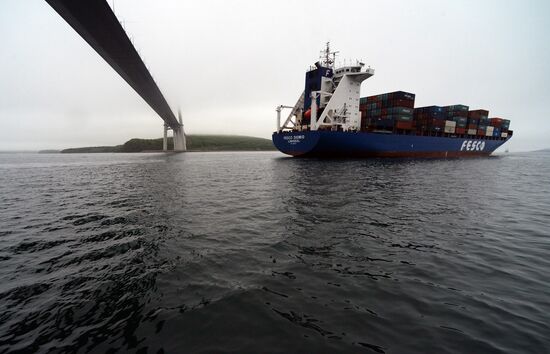 Fesco Diomid container ship arrives in port of Vladivostok