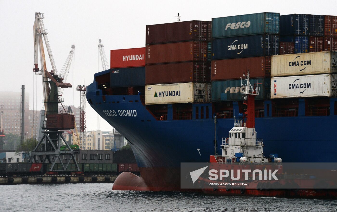 Fesco Diomid container ship arrives in port of Vladivostok