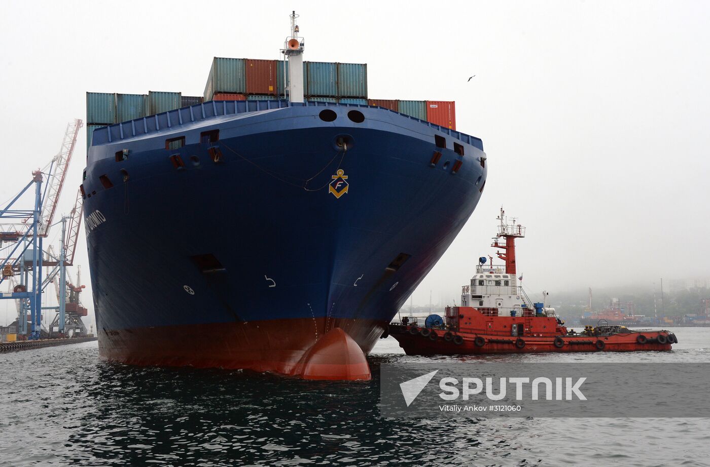 Fesco Diomid container ship arrives in port of Vladivostok