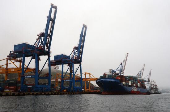 Fesco Diomid container ship arrives in port of Vladivostok