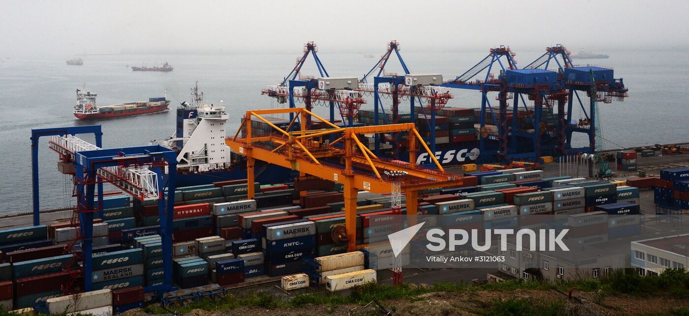 Fesco Diomid container ship arrives in port of Vladivostok